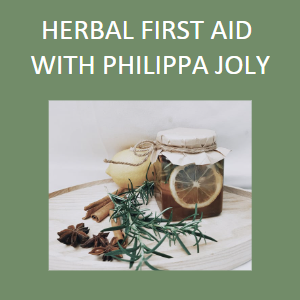 Herbal First Aid Workshop - Saturday July 22, 1-3pm