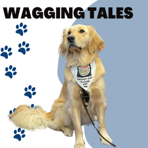 Golden Retriever sitting under the words Wagging Tales